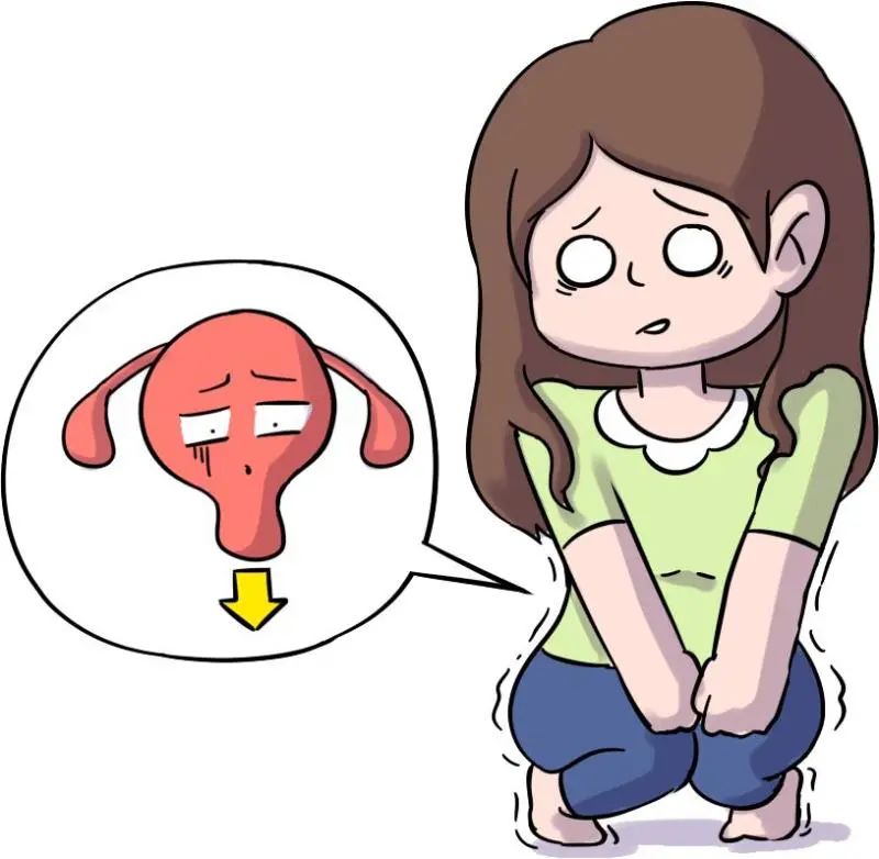 空中养生课堂 | 如何预防盆底肌松弛