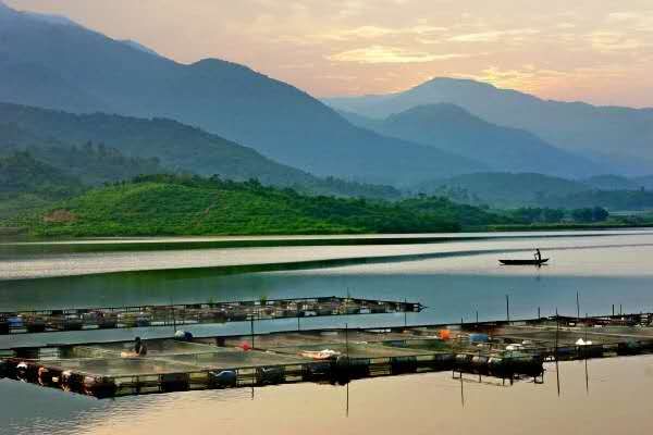大塘镇六一村委会的花海连绵到江边,与江边的树木搭成画.洪海摄