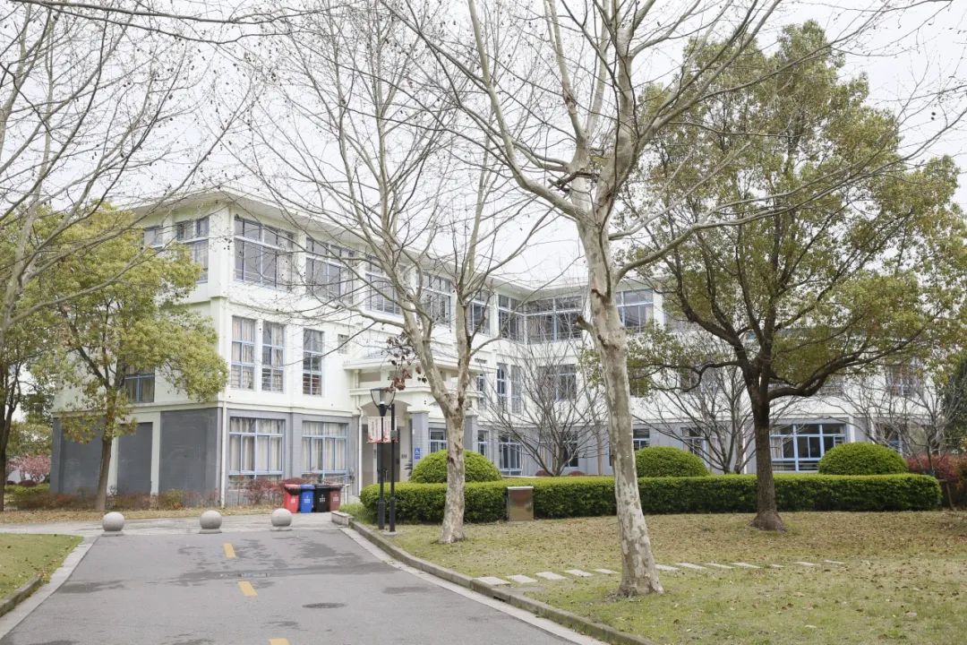 松江新校提前看三新学校东部校区今天举行校园开放日活动