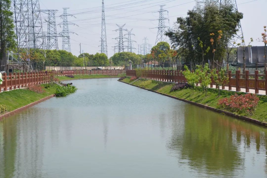 宝山区6条河道入围第二届最美河道最佳河道整治成果快来看看