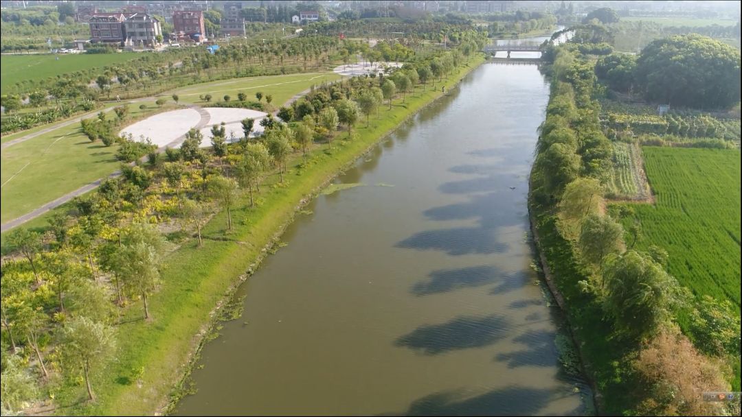 宝山区6条河道入围第二届"最美河道""最佳河道整治成果"!快来看看