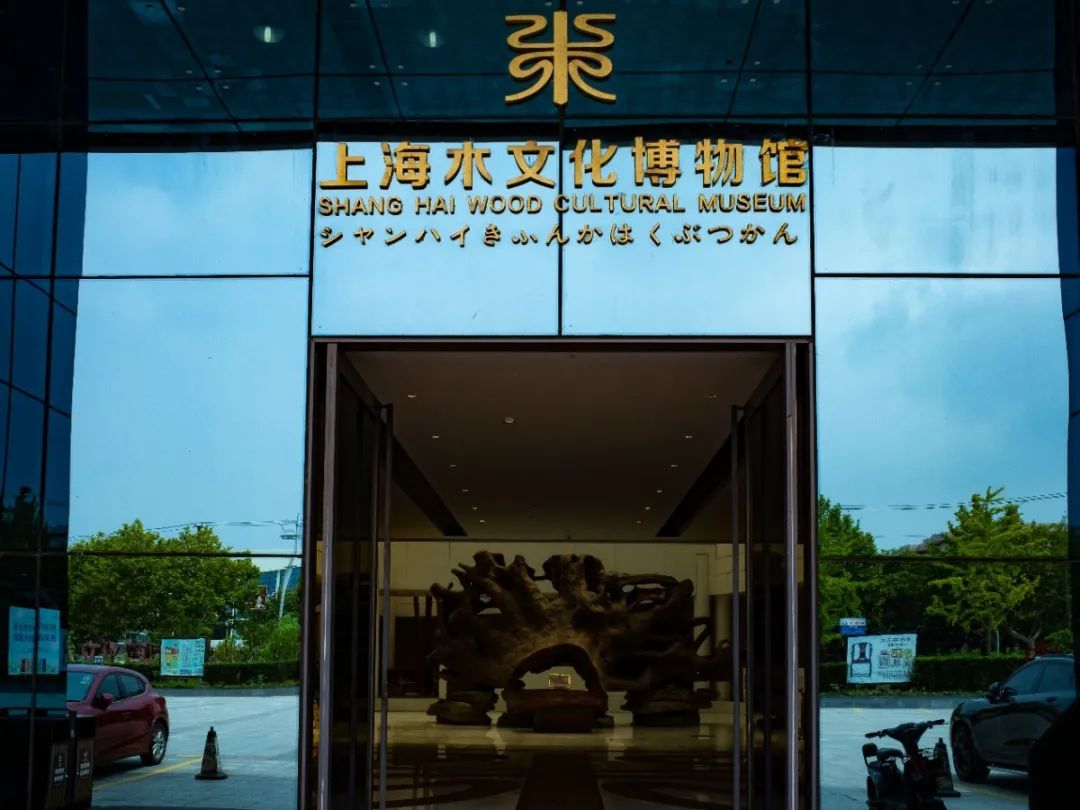 云游宝山来上海木文化博物馆观奇珍异木赏名家大作