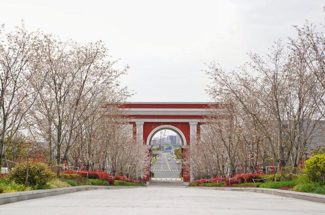 真靓华为桑田岛基地亮相啦