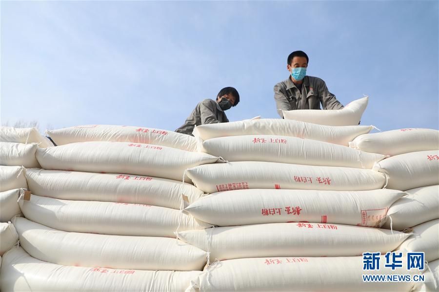 3月21日,河北省唐山市丰润区三达面业有限公司的工人在搬运面粉.