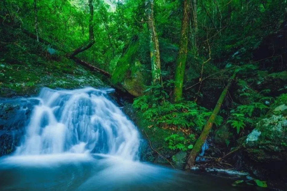 风景独好唯美源头方得活水