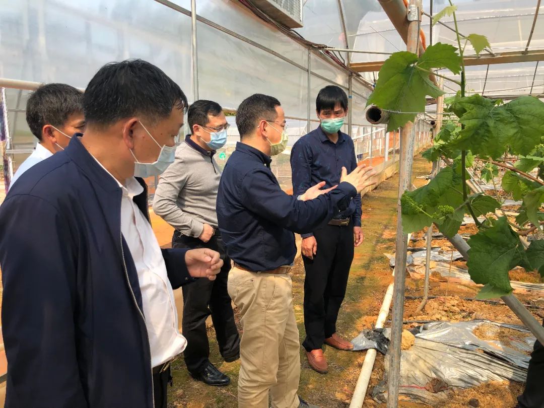 决战决胜脱贫攻坚杨利华发挥头雁效应凝聚力量推进脱贫攻坚与乡村振兴