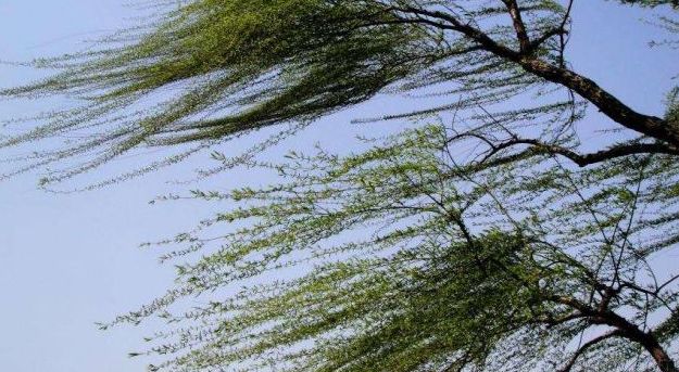 莱州人准备好最低气温3大风小雨本周天气太刺激