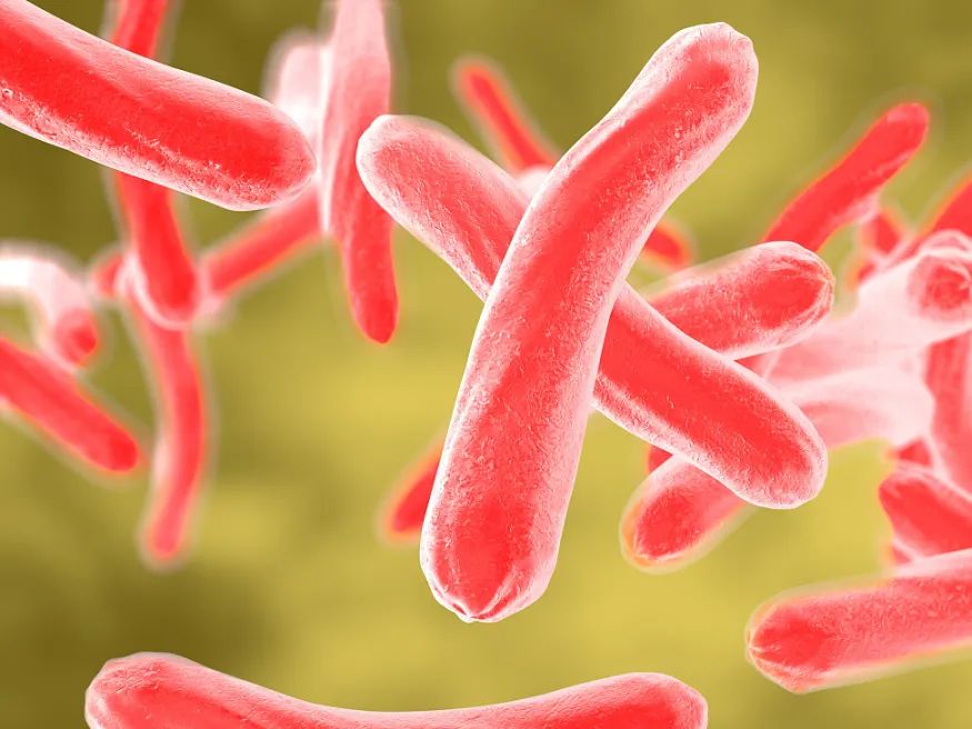 肺结核的病原体为结核分枝杆菌,属于细菌感染新型冠状病毒肺炎肺结核