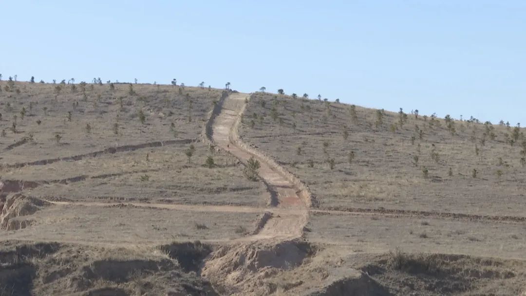 防火隔离带东胜区森林草原防火指挥部办公室 王韬"在清明节期间