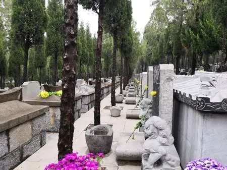 5徐州城市公益性公墓徐州城市公益性公墓全体工作人员,向支持疫情防控