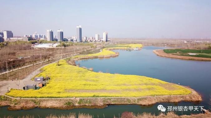 隆丰湖公园△视频隆丰湖公园,沙沟湖公园陆续绽放 春意盎然邳州各地的