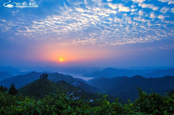 壮美凌云战疫情,云上展销促脱贫 | 2020年凌云县"两会一赛"活动邀你云