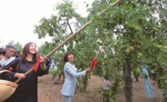 【2019 现代节庆精彩回顾】乐陵举行金丝小枣文化旅游节