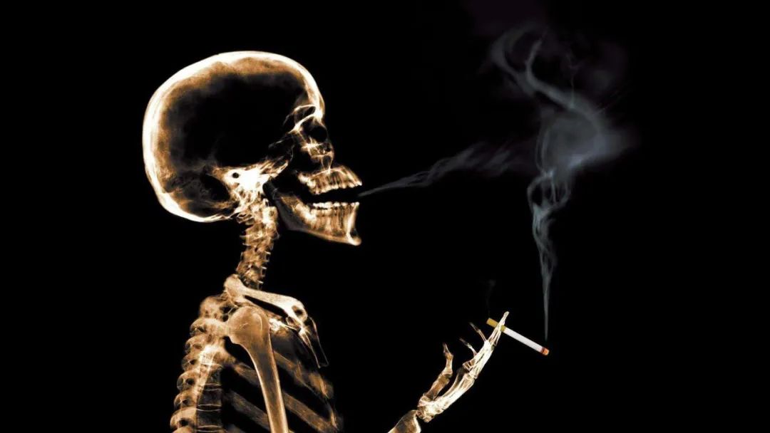 上海肾脏周空气污染不仅伤肺还伤肾