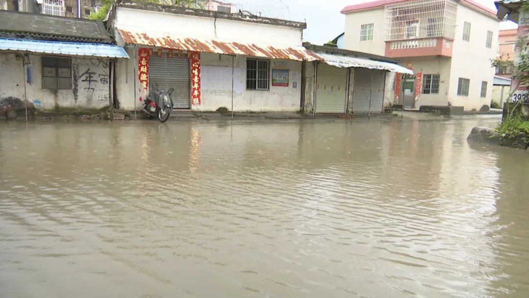 东湖村主干道全路“沦陷”