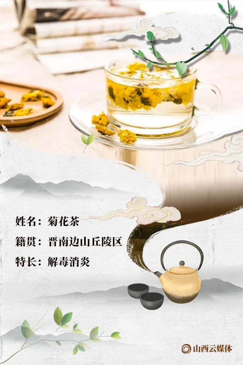 关注11张海报名片为山西药茶打call