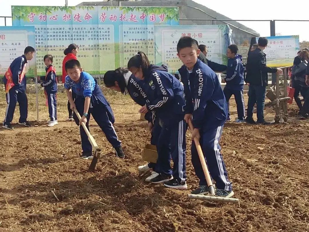 一,充分认识新时代培养社会主义建设者和接班人对加强劳动教育的新