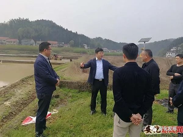 3月25日,安化县委副书记,县长肖义到羊角塘镇指导脱贫攻坚,早稻生产