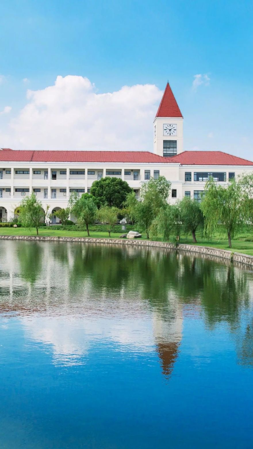 春意盎然一起云返校沪上39所高校美图来了