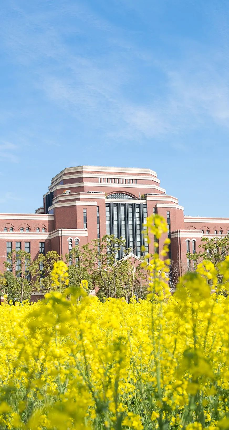 春意盎然一起云返校沪上39所高校美图来了