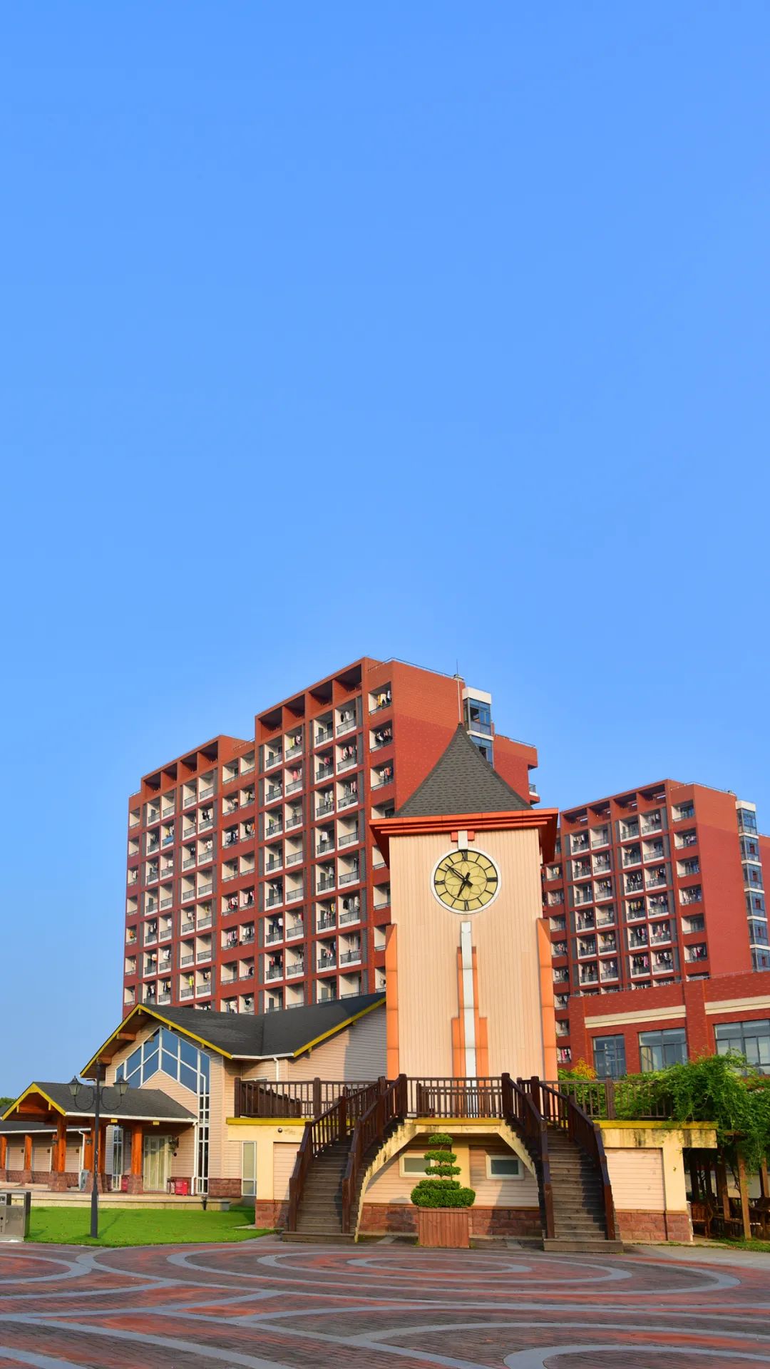 春意盎然一起云返校沪上39所高校美图来了