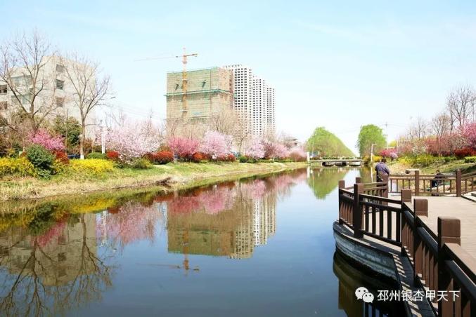 云赏大邳春意浓不起眼的两条河却是如此的诗意