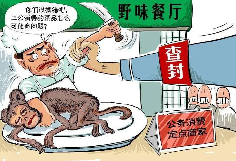 卖野味犯法,食野味处罚吗?