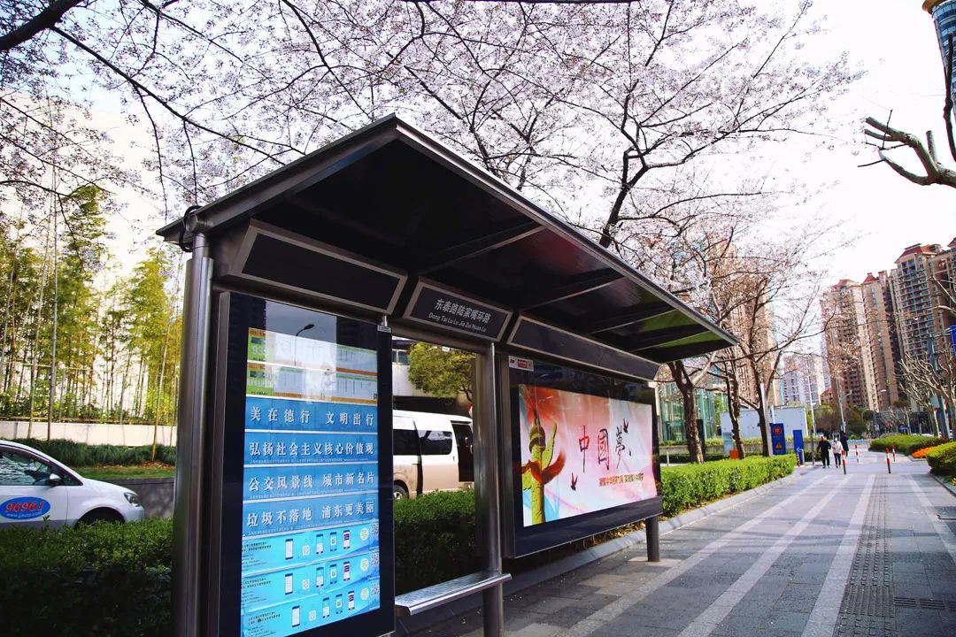 沪上不少公交站呈现春日好风景普陀的这座是你心头好吗