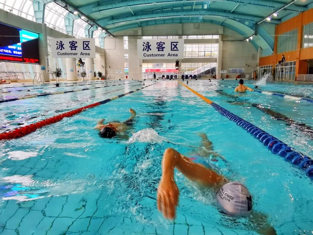 又能扎猛子了源深游泳馆今天恢复开放浦东游泳场所将陆续开放