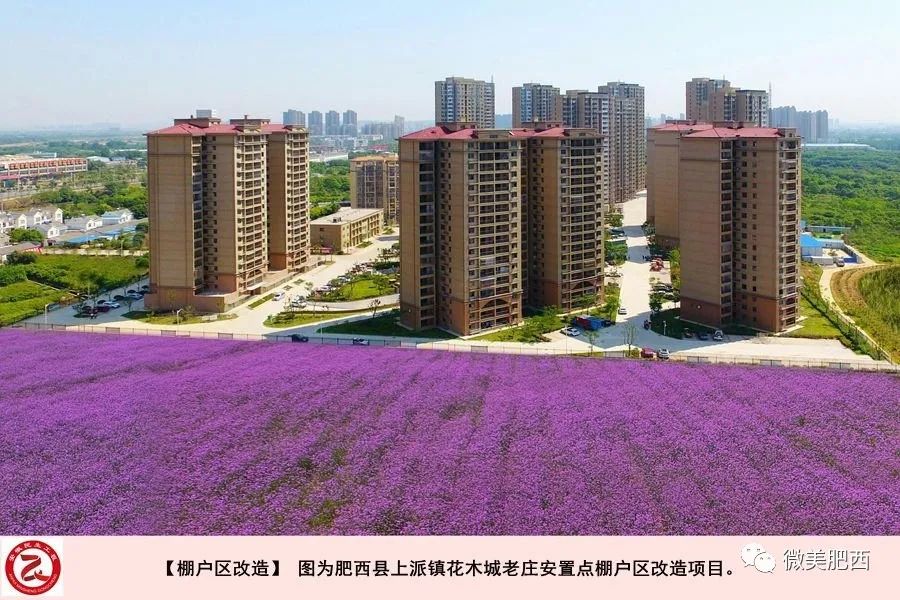 2亿为民生民天会更好