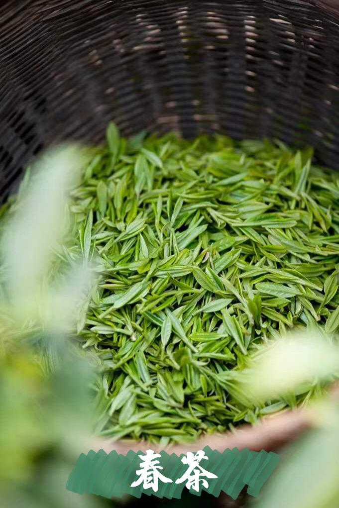 嗷呜一口吃掉春天