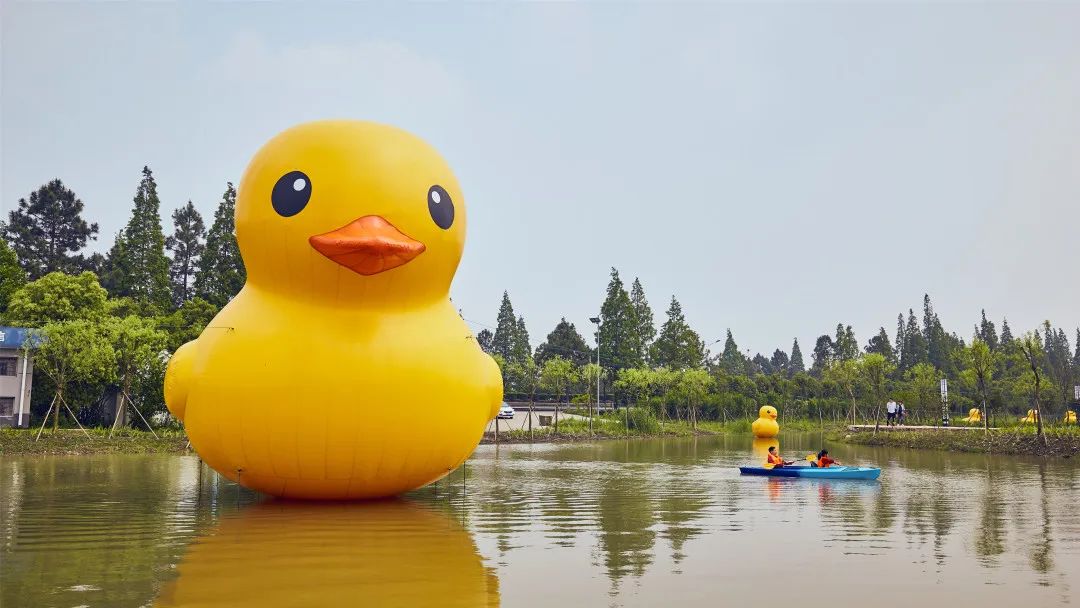 研学,野炊,皮划艇……海盐金星村丰富活动等你来参与!