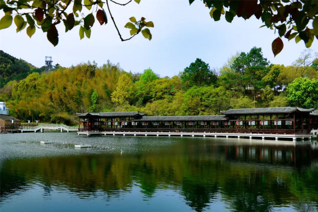 龙屿村景点介绍图片