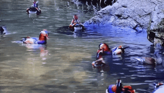 640_362gif 动态图 动图