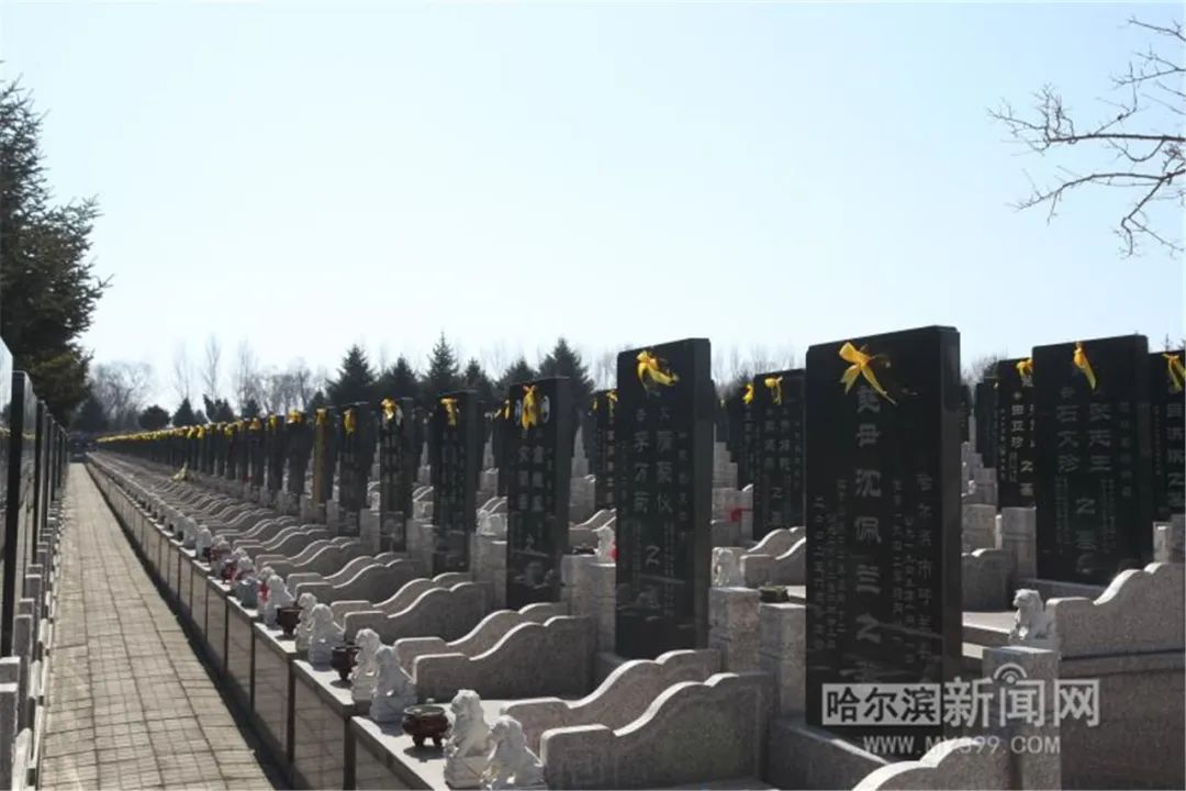 鲜花寄哀思文明过清明哈市市属殡葬服务机构举行首个集体共祭活动