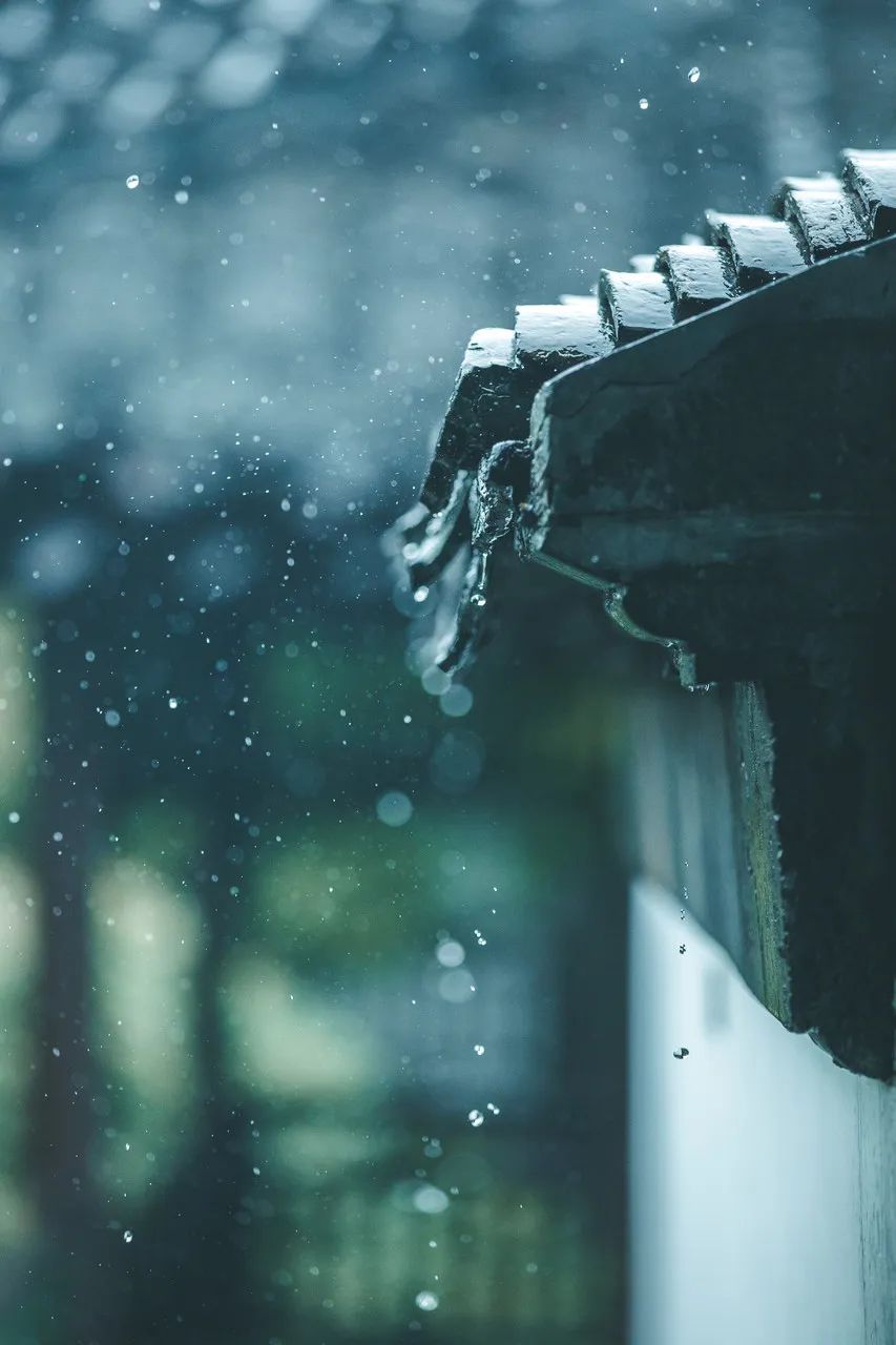 08图虫:westbin烟花三月下扬州,烟雨朦胧瘦西湖.