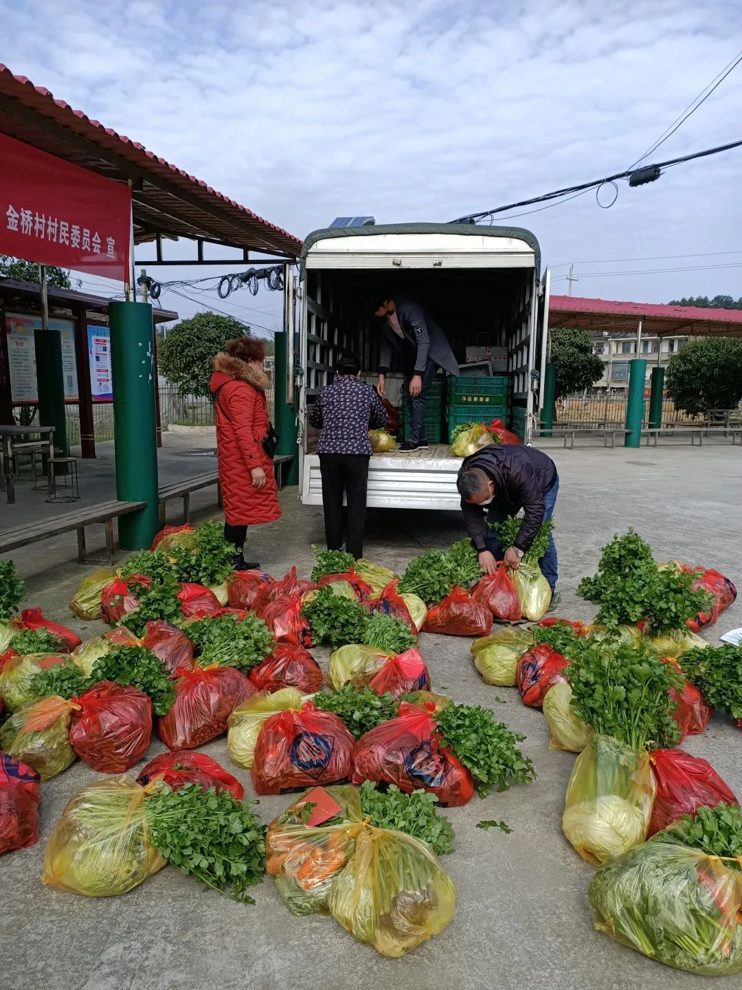 最实在，这位干警为家乡捐了12吨蔬菜｜北京法院故事