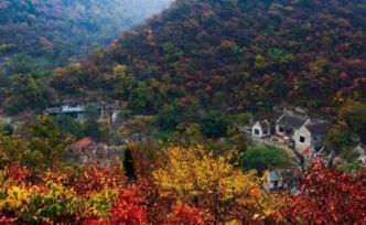 淄博博山，“田园牧歌”式的乡村想象
