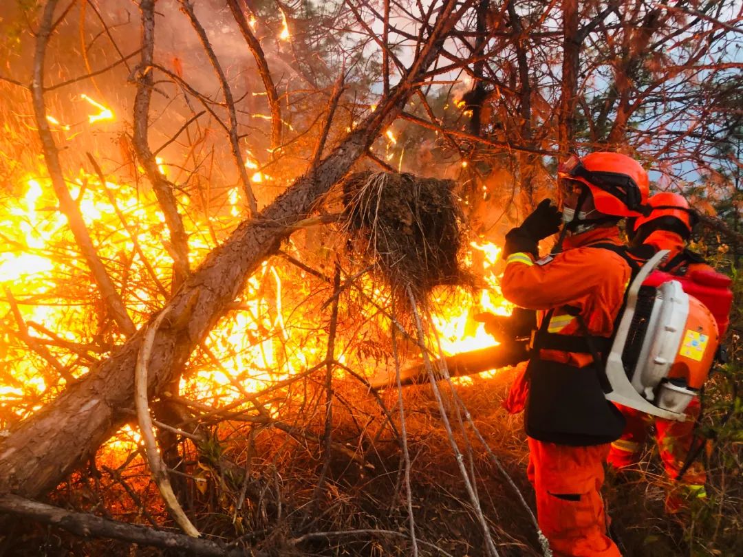 大理州南涧县南涧镇小军庄社区民族中学后山林区发生森林火灾