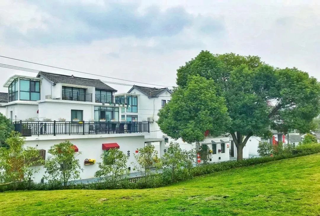 季景不同要说来江宁去哪采摘,小伙伴们第一个想到的一定是汤山翠谷吧!