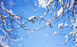 小雪養(yǎng)生：御寒保暖，藥膳溫補(bǔ)