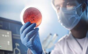 丙肝擅長“躲貓貓”，肝功能檢查正常未必沒事