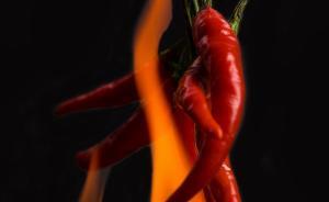 夏季最后一月养生吃辣？粗茶淡饭并非全吃素，养生膳食有哪些