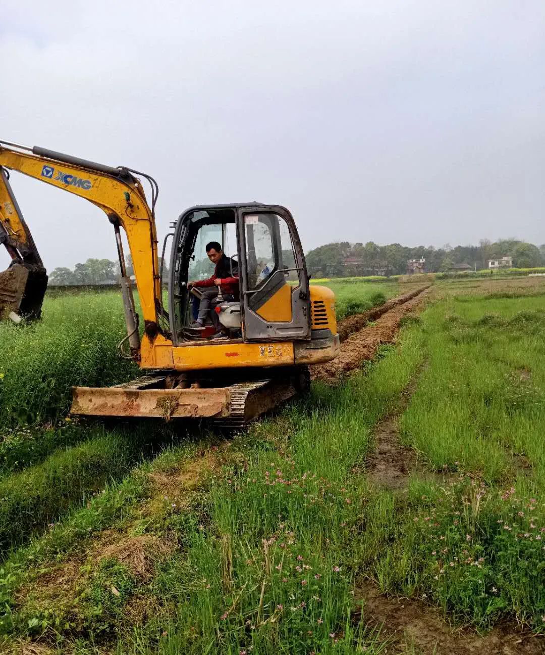 白良潭埠株潭罗城岭东等地的种粮热