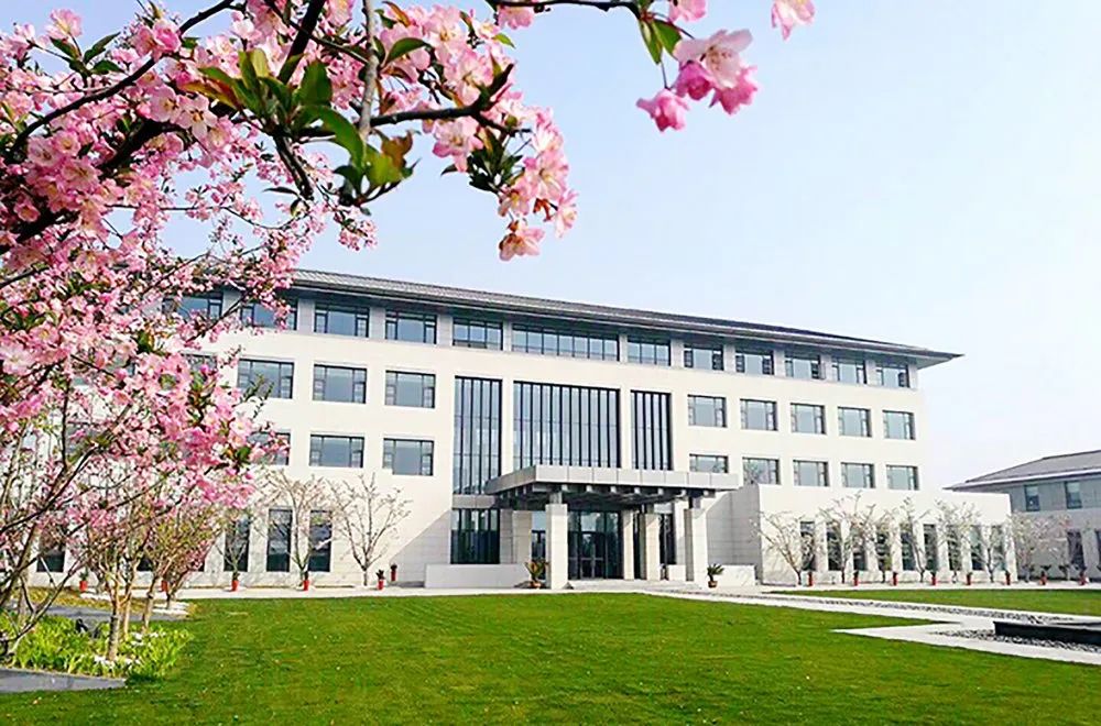 温润如玉的海棠花如约而至草木蔓发,绿柳苍松恩来干部学院迟日江山丽