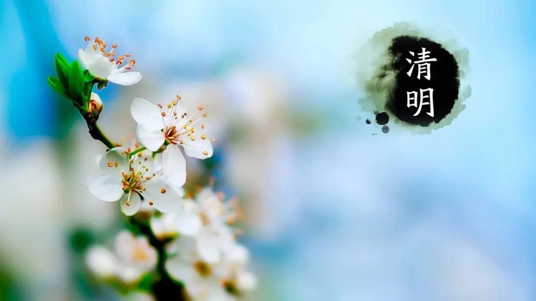 深圳祭祀场所已实施祭扫管控交警提醒市民切勿盲目前往