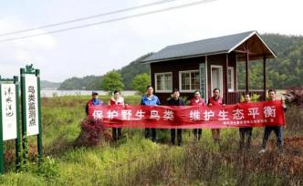 湖南衡东洣水湿地邀您一起护鸟护生态