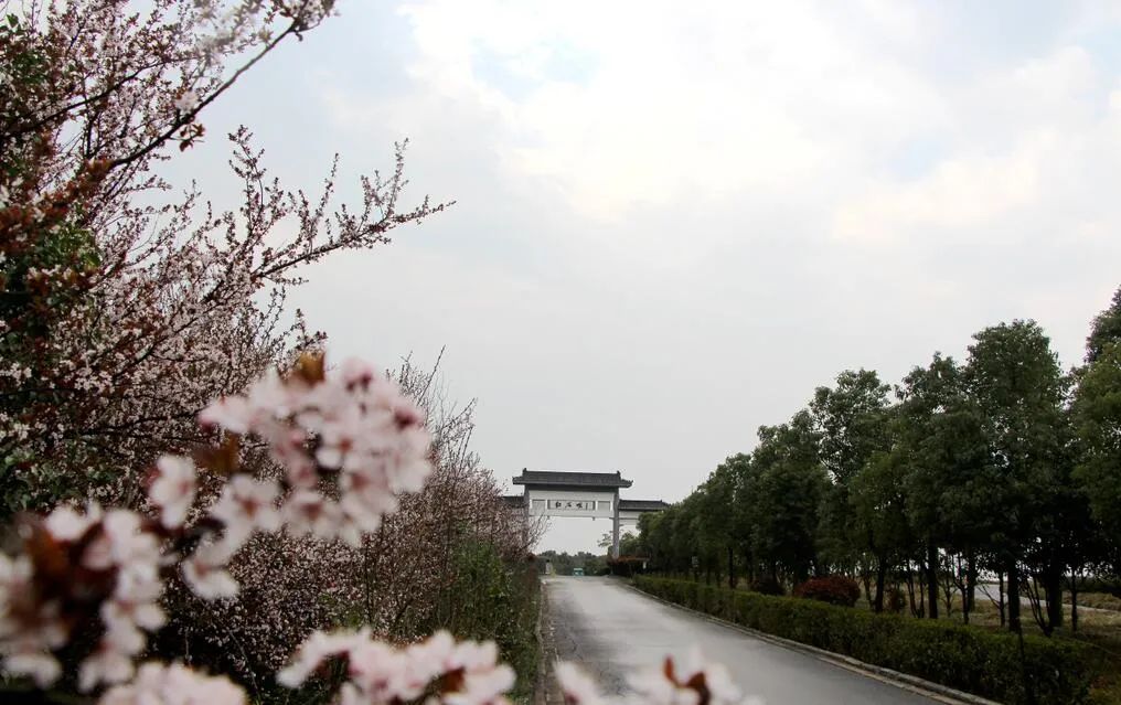 肥東長臨河鎮紅石咀公園巢湖姥山島景區山門李古村落三瓜公社推薦天數