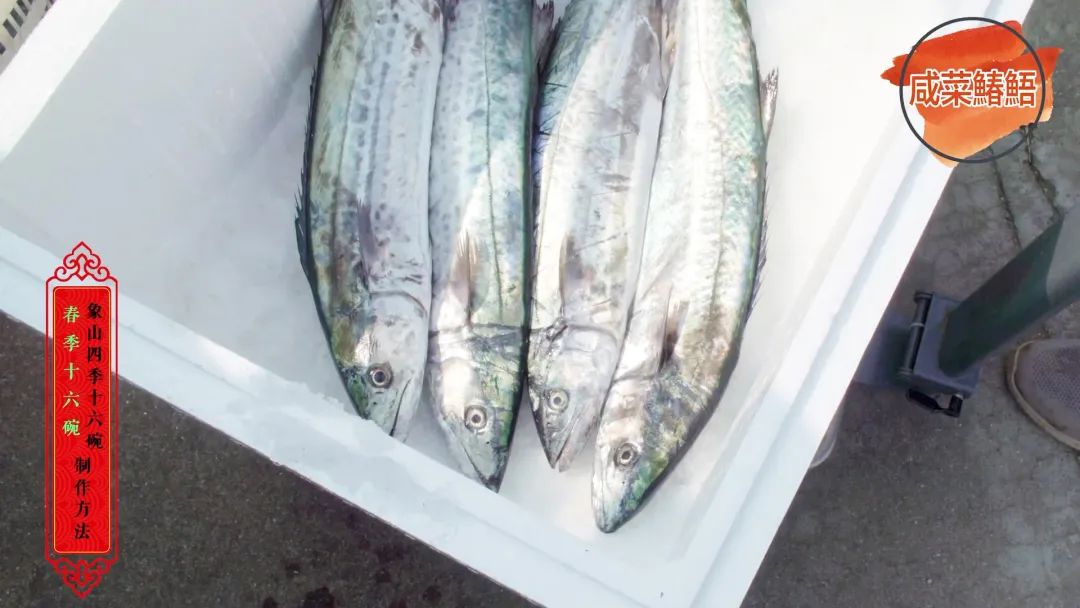 视频在家学做象山春季十六碗咸菜鰆鯃