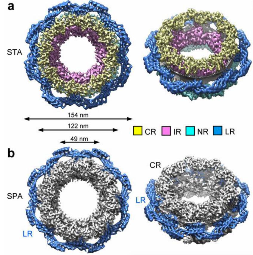 科技前沿施一公团队解析核孔复合物近原子分辨率胞质环结构及高分辨率